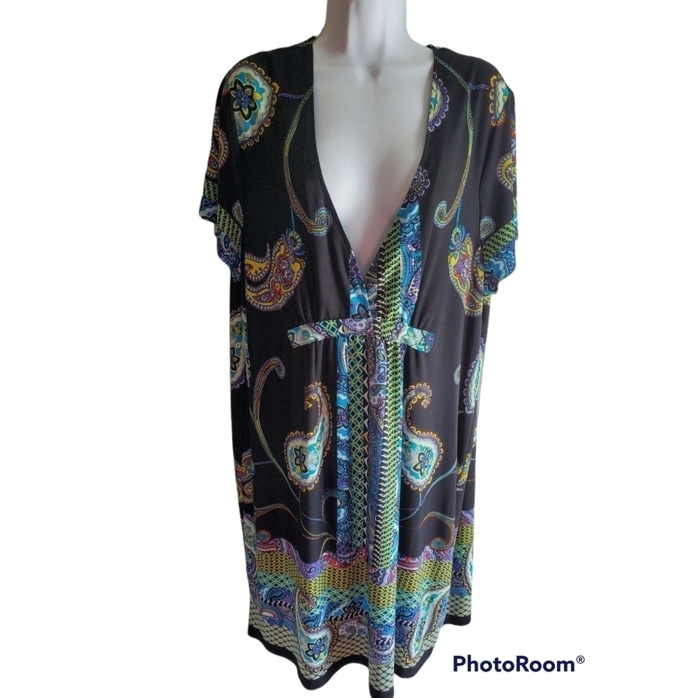 Snap Multicolored Dress